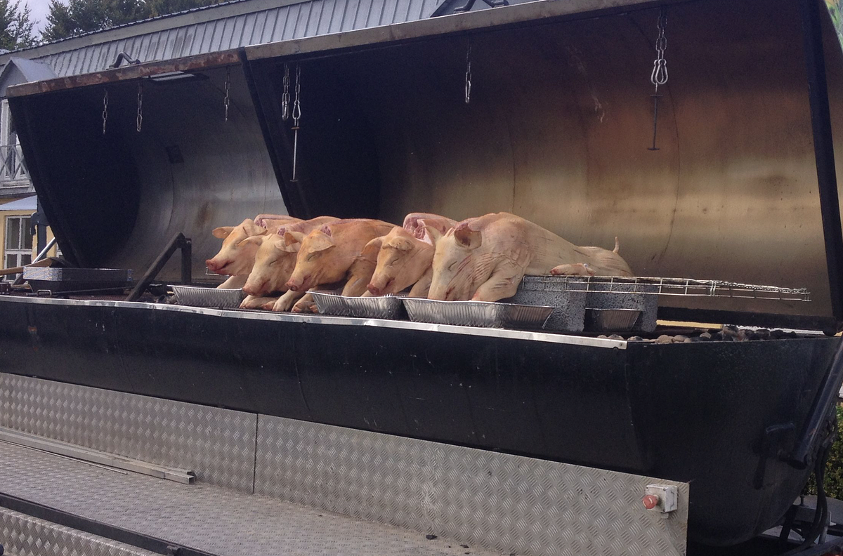 Helstegt pattegris på grill