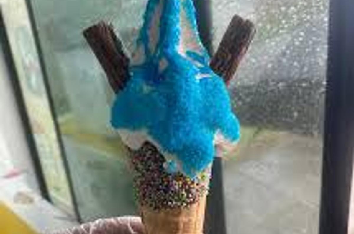 Ice cream van dessert van