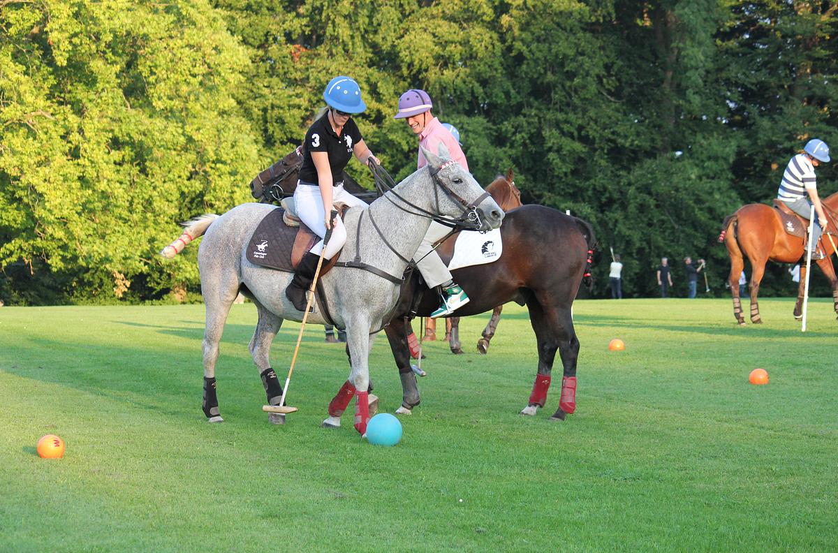 Spil Polo - En kongesport