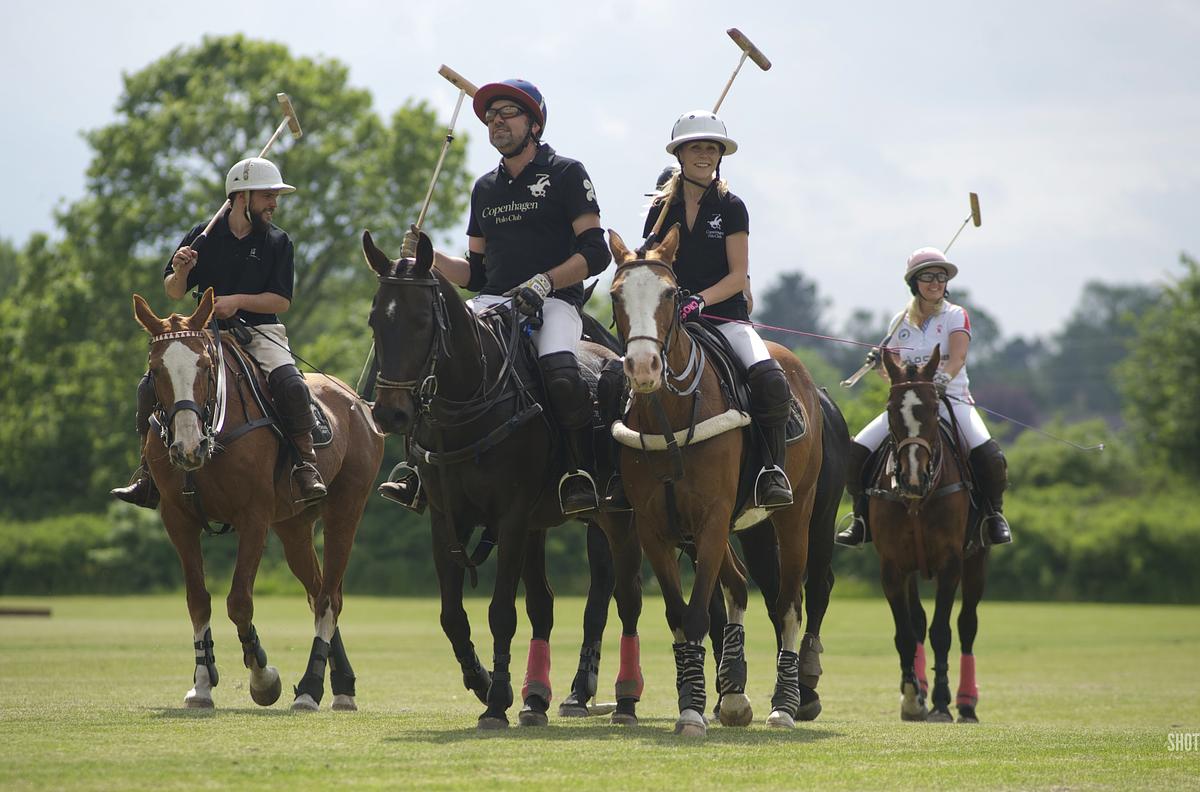 Spil Polo - En kongesport