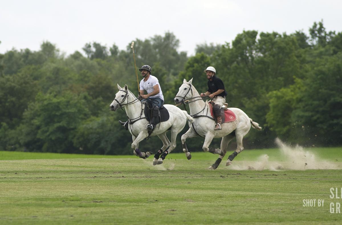 Spil Polo - En kongesport