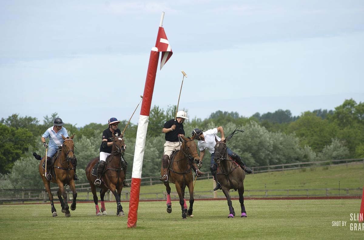 Spil Polo - En kongesport