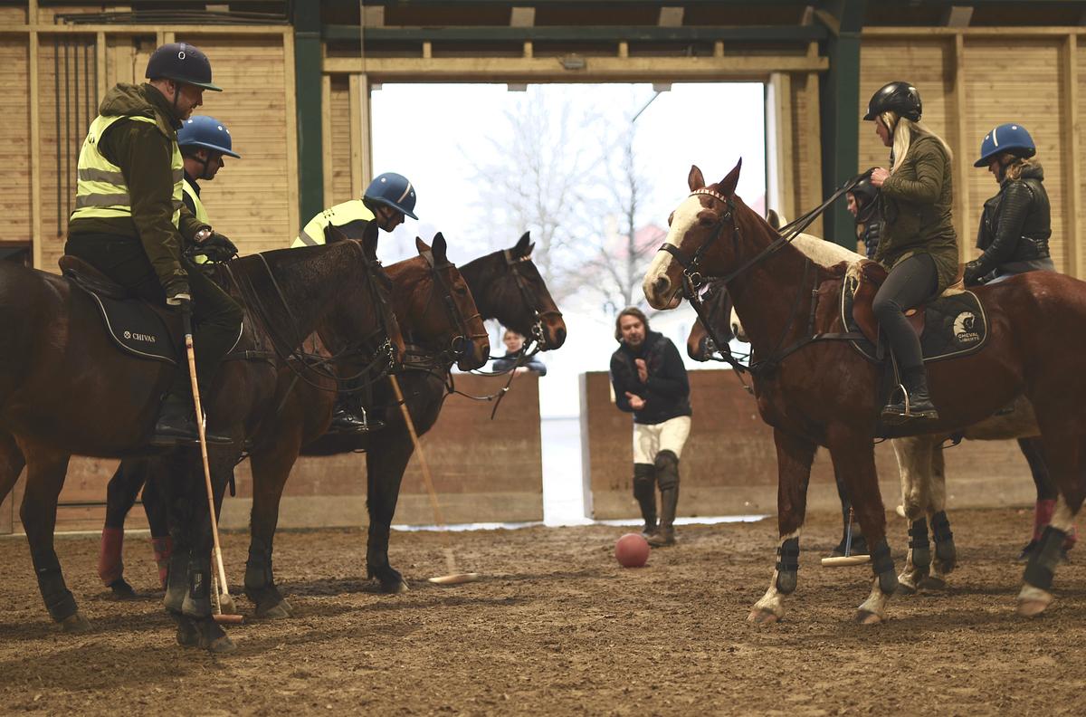 Spil Polo - En kongesport