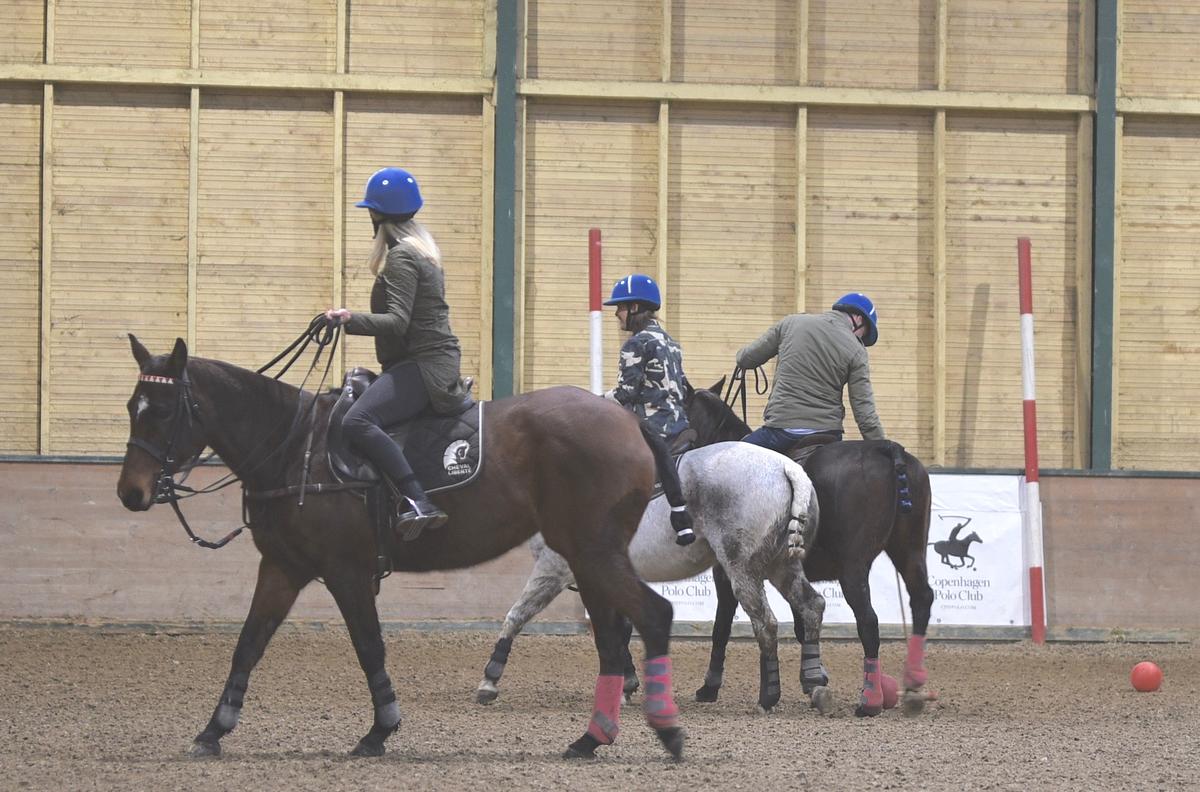 Spil Polo - En kongesport