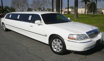 Celebrity Limousine
