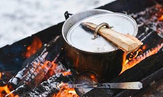 Wildlife cooking
