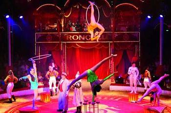 Cirkus
