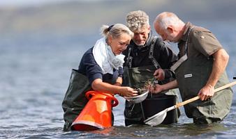 Østers- og seafoodsafari med Jyllandsakvariet i Thyborøn