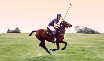 Copenhagen Polo Club i Nivå