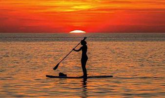 SUP surf med Amager kiteskole