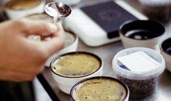 Espressokursus hos La Cabra