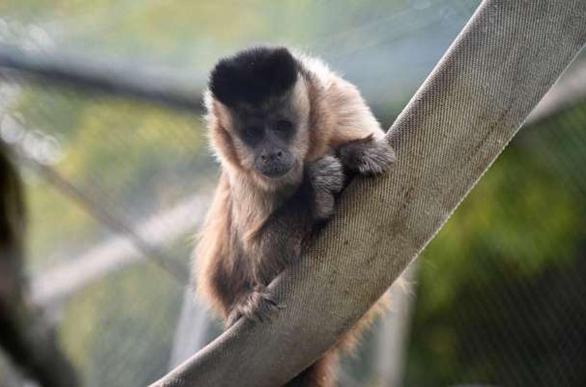 Odsherred Zoo Rescue