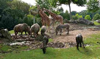 Orøstrand Dyrepark