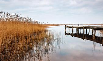 Tag på sommerhusferie i Vestjylland
