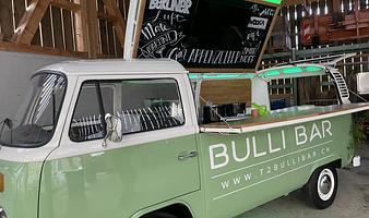 T2 Bulli Bar