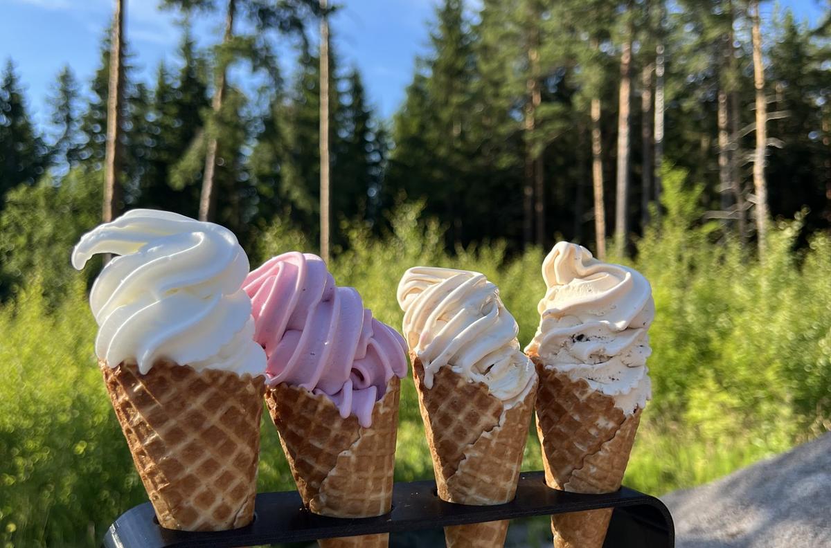 Fikavagnen KakBoa