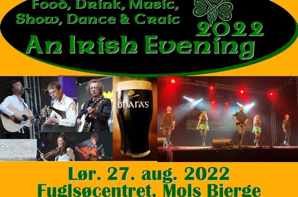 An Irish Evening
