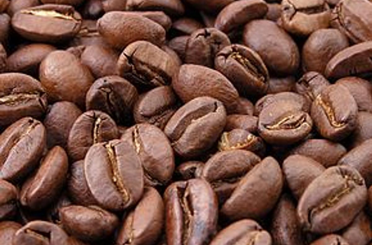 Gourmet Is og Kaffe