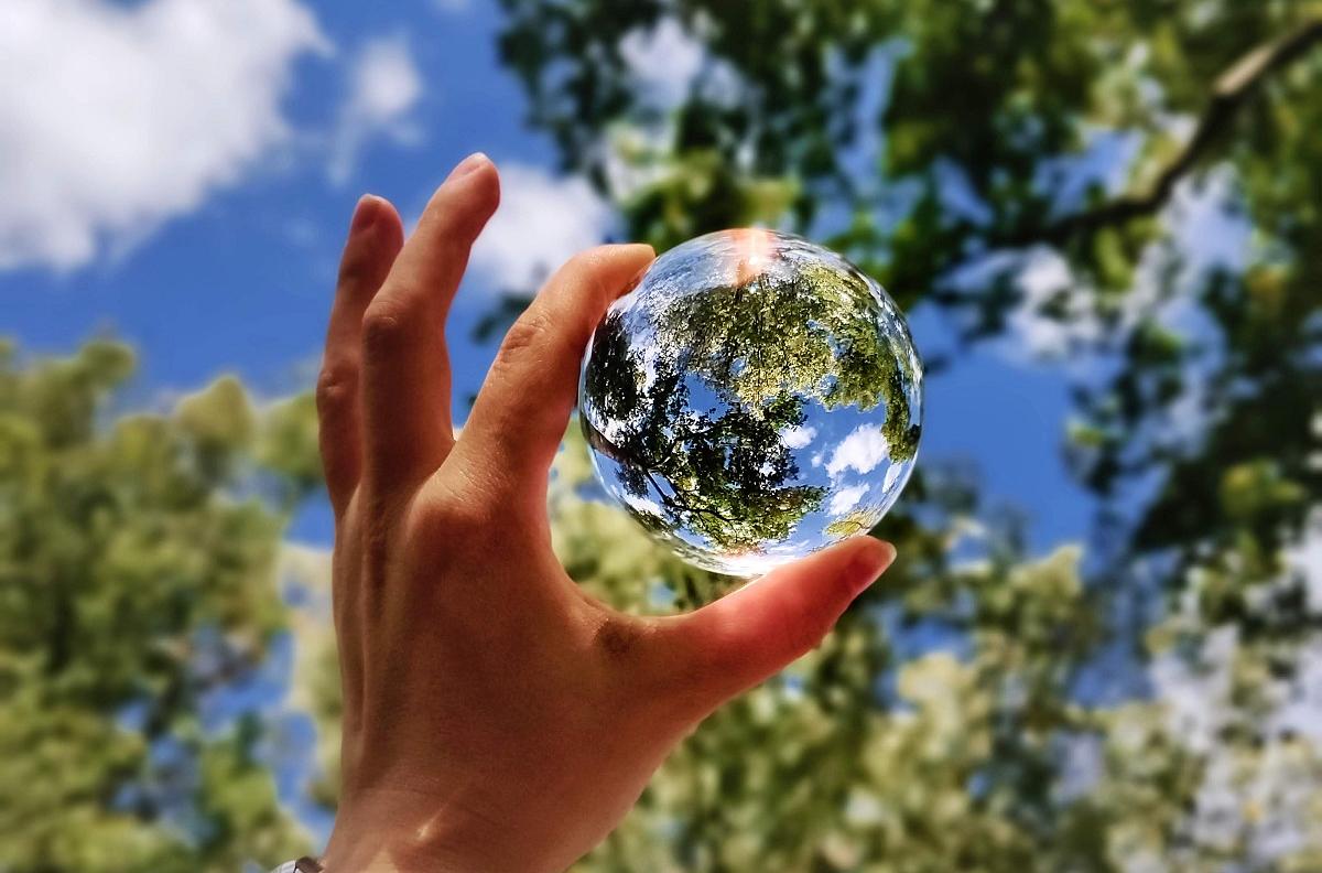 Sustainability Game