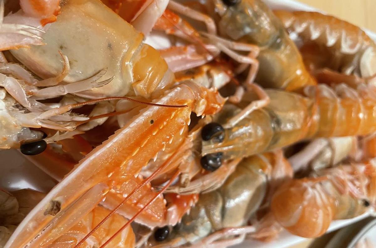 Fransk Gourmet køkken