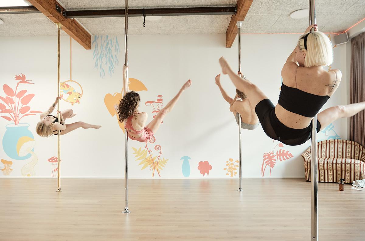 Twerk, Poledance og meget mere