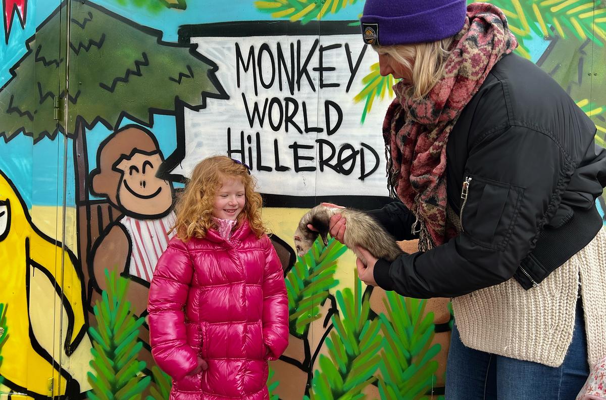 Monkey World Hillerød
